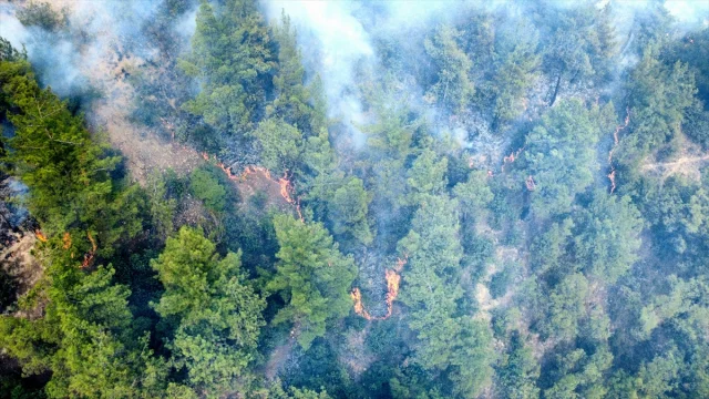 Karabük'te Orman Yangınına Hızlı Müdahale