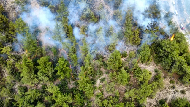 Karabük'te Orman Yangınına Hızlı Müdahale