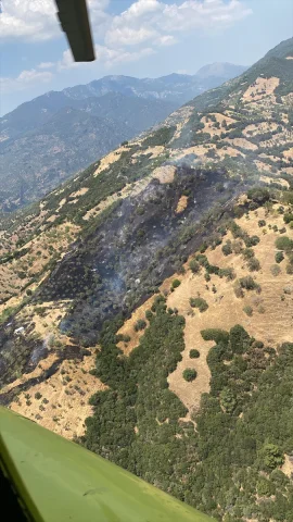 Aydın'da Çıkan Yangının Nedeni Arazi Anlaşmazlığı Oldu