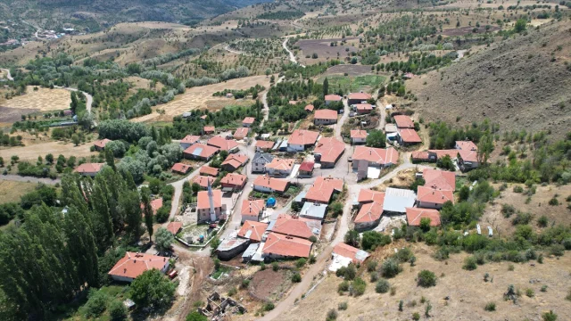 Çubuk'ta Arıcılar İçin Çiçek Balı Hasadı Başladı
