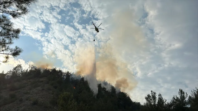 Karabük'te Orman Yangını Başarılı Müdahaleyle Kontrol Altına Alındı