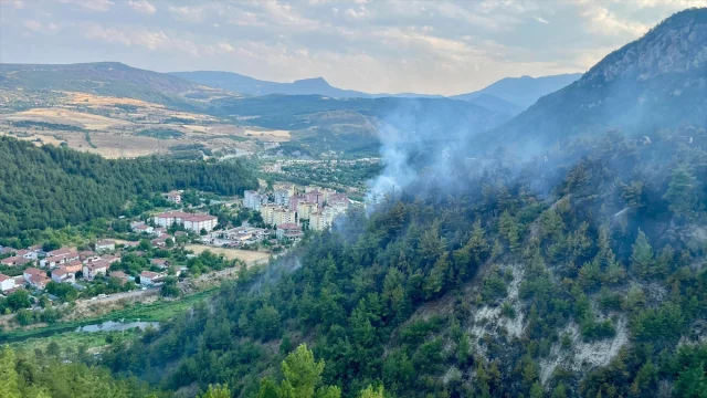 Karabük'te Orman Yangını Başarılı Müdahaleyle Kontrol Altına Alındı