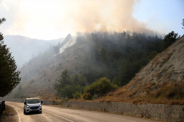 Karabük'te Orman Yangını Başarılı Müdahaleyle Kontrol Altına Alındı
