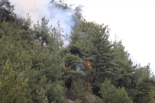 Karabük'te Orman Yangını Başarılı Müdahaleyle Kontrol Altına Alındı