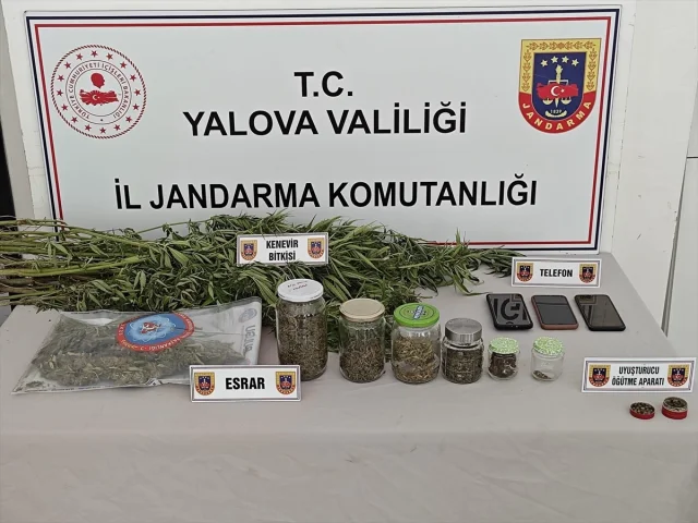 Yalova'nın Sessiz Ormanlarındaki Uyuşturucu Operasyonu