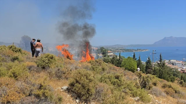 Datça'nın Panorama Tepesi'ndeki Yangın Hızla Kontrol Altına...