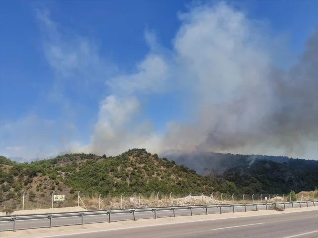 Tokat'ta Orman Yangını Çıktı: Bir Kişi Gözaltında