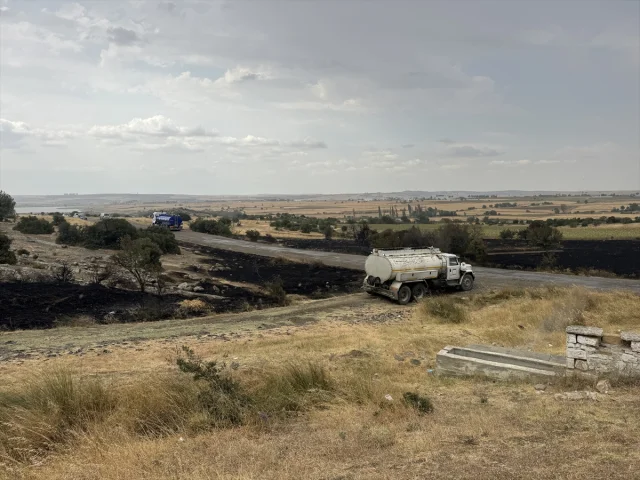 Edirne'de Çıkan Orman Yangını Kontrol Altına Alındı