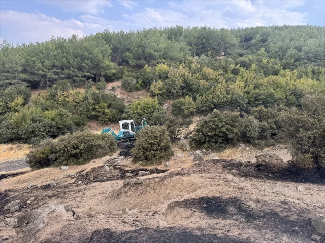 Edirne'de Çıkan Orman Yangını Kontrol Altına Alındı