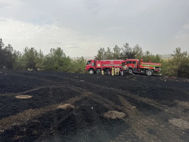 Edirne'de Çıkan Orman Yangını Kontrol Altına Alındı