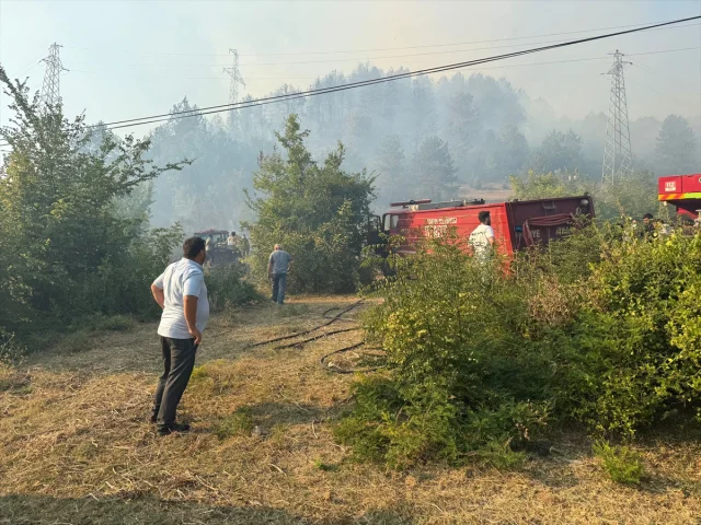 Bartın'da Orman Yangınıyla Mücadele: Ekipler Seferber Oldu