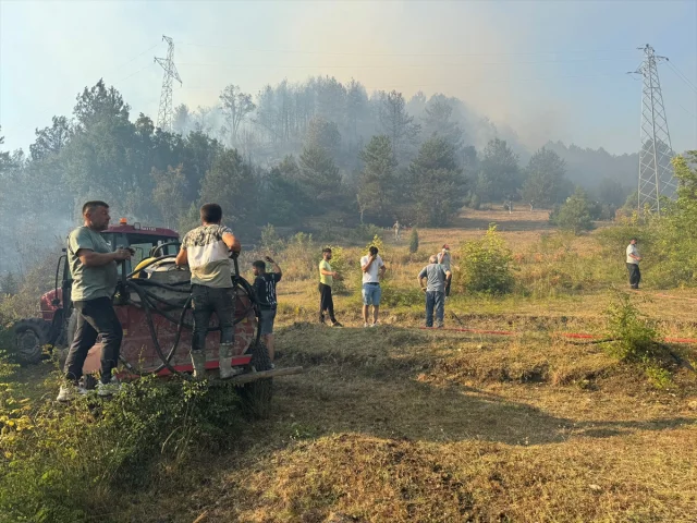 Bartın'da Orman Yangınıyla Mücadele: Ekipler Seferber Oldu