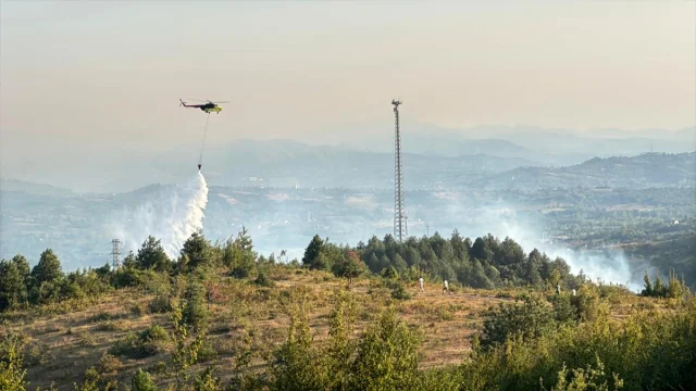 Bartın'da Orman Yangını Başarıyla Kontrol Altına Alındı