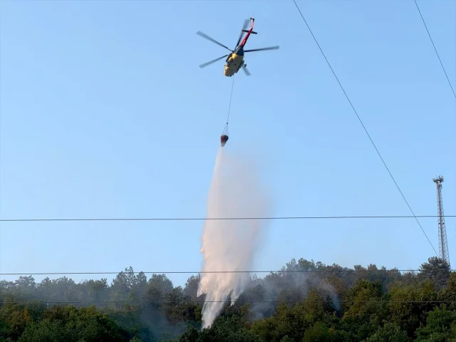 Bartın'da Orman Yangını Başarıyla Kontrol Altına Alındı