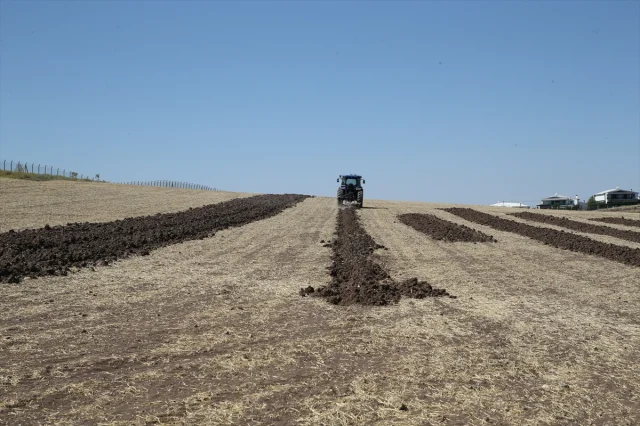 Diyarbakır'da Tarımda Devrim: Sürücüsüz Traktörle Ekonomi ve Verim Arttırılıyor