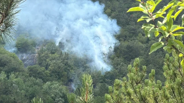 Bolu'da Orman Yangını İle Mücadele Hız Kesmeden Devam Ediyor