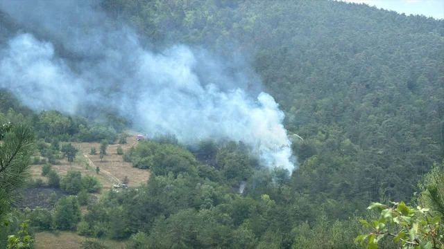 Bolu'da Orman Yangını İle Mücadele Hız Kesmeden Devam Ediyor