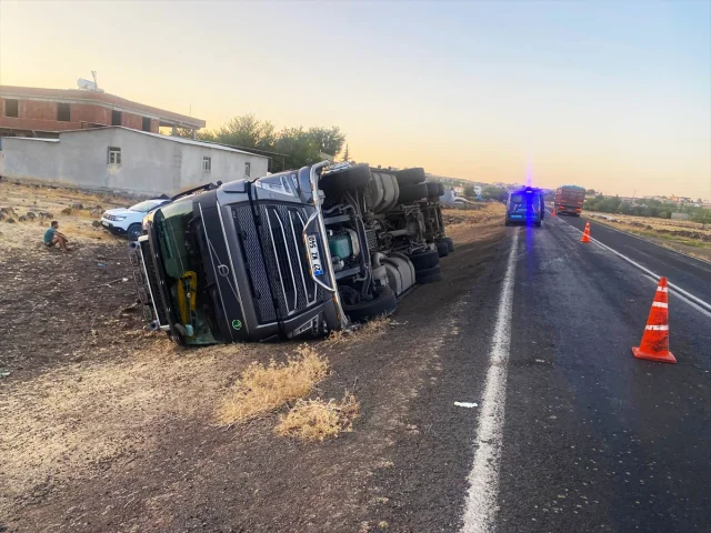 Şanlıurfa'nın Siverek İlçesinde Facia: Hayvan Yüklü Tır Devr...