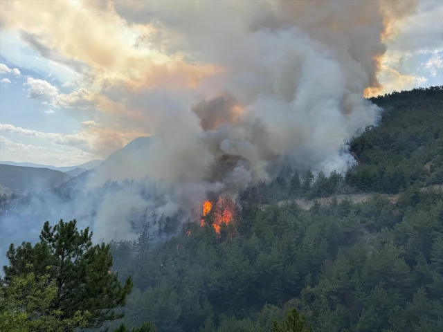 Karabük Orman Yangını Yeniden Şiddetlendi Müdahaleler Sürüyo...