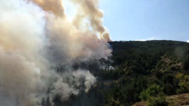 Karabük'te Yeniden Başlayan Orman Yangınına Müdahale Genişletiliyor
