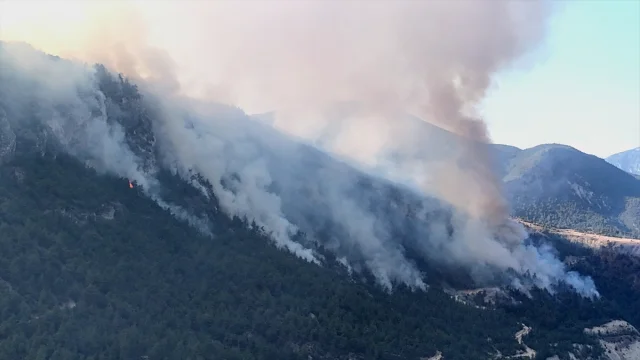 Karabük'ün Arıcak Köyü'nde Orman Yangını Yeniden Başladı