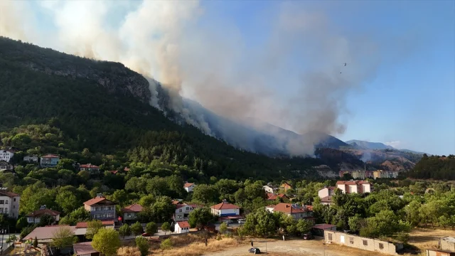 Karabük'ün Arıcak Köyü'nde Orman Yangını Yeniden Başladı