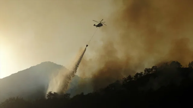 Karabük'ün Arıcak Köyü'nde Orman Yangını Yeniden Başladı