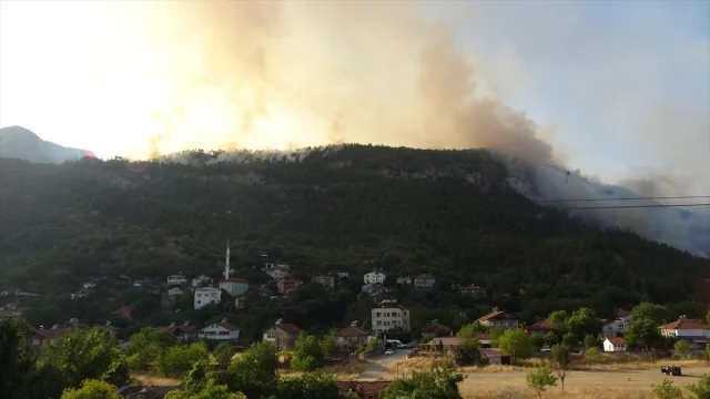 Karabük'ün Arıcak Köyü'nde Orman Yangını Yeniden Başladı