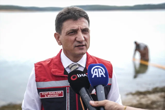 İstanbul'un Göletlerine 3 Milyon 700 Bin Sazan Salındı: Ekosistemin Yeniden Canlandırılması