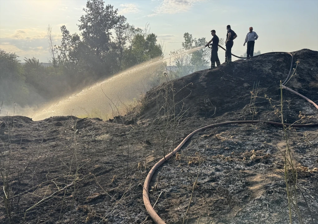 Edirne Tunca Nehri Kıyısındaki Yangın Hızla Kontrol Altına Alındı