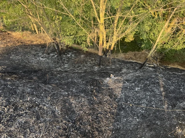 Edirne Tunca Nehri Kıyısındaki Yangın Hızla Kontrol Altına Alındı