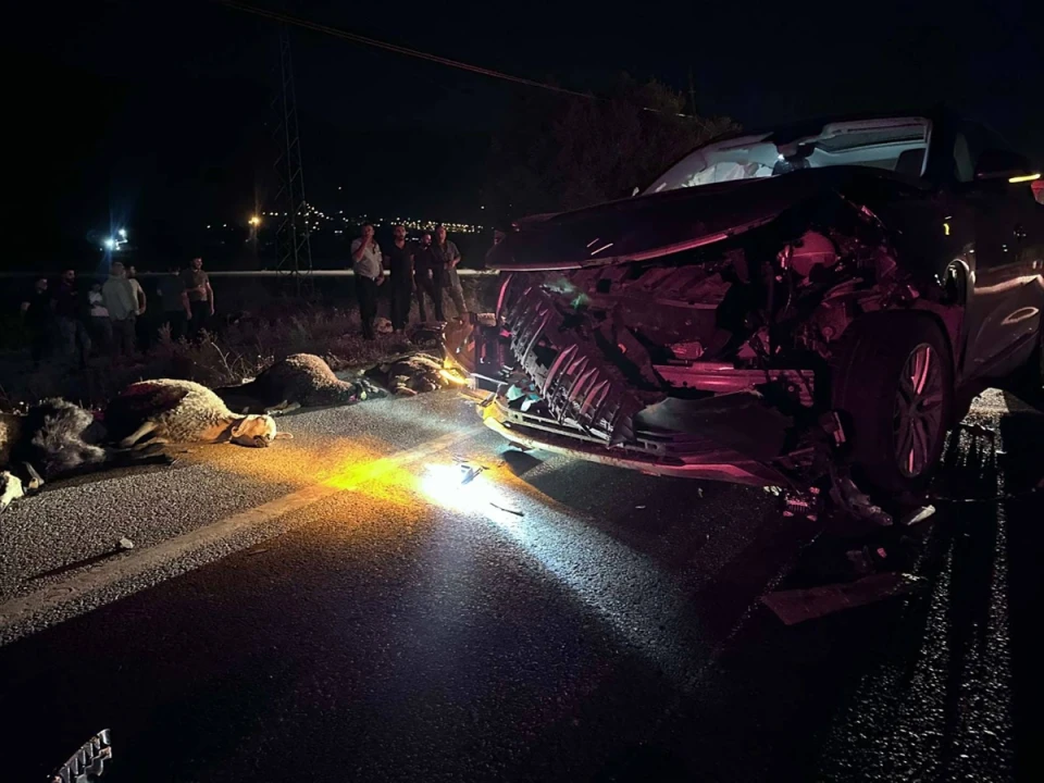 Erzincan'da Yol Güvenliği Sorunu ve Çarpılan Sürüden Acı Tablo