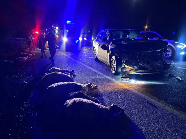 Erzincan'da Yol Güvenliği Sorunu ve Çarpılan Sürüden Acı Tablo