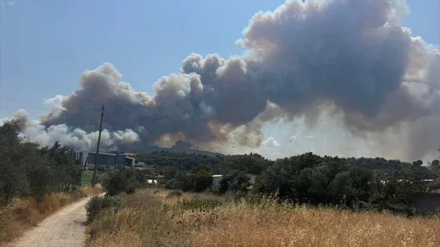 Çanakkale'de Tarım Arazisinde Başlayan Yangın Büyüyerek Ormanı Tehdit Ediyor