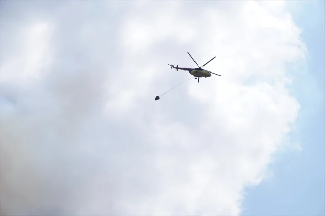 Çanakkale'de Tarım Arazisinde Başlayan Yangın Büyüyerek Ormanı Tehdit Ediyor