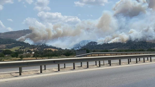 Çanakkale'de Tarım Arazisinde Başlayan Yangın Büyüyerek Ormanı Tehdit Ediyor