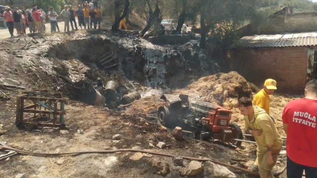 Muğla'da Korkunç Traktör Kazası: Sürücü Hayatını Kaybetti