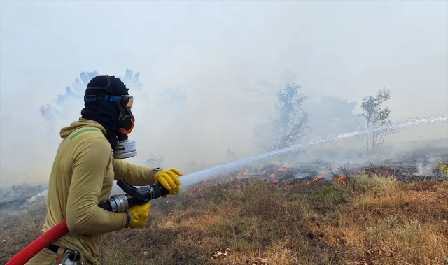 Bolu'da Orman Yangını Hızlı Müdahaleyle Kontrol Altına Alındı