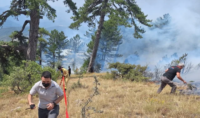 Bolu'da Orman Yangını Hızlı Müdahaleyle Kontrol Altına Alındı
