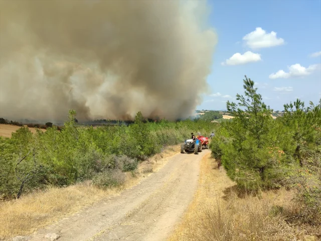 Çanakkale Bayramiç'te Orman Yangını 3 Köyü Boşalttı