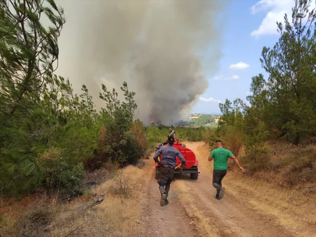 Çanakkale Bayramiç'te Orman Yangını 3 Köyü Boşalttı