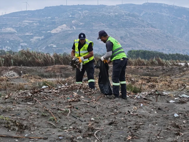 Hatay Sahillerinde Deniz Kaplumbağası Yavruları İçin Temizlik Seferberliği