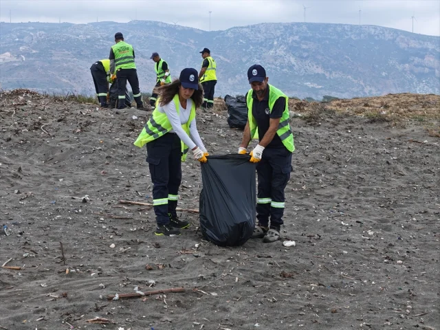 Hatay Sahillerinde Deniz Kaplumbağası Yavruları İçin Temizlik Seferberliği