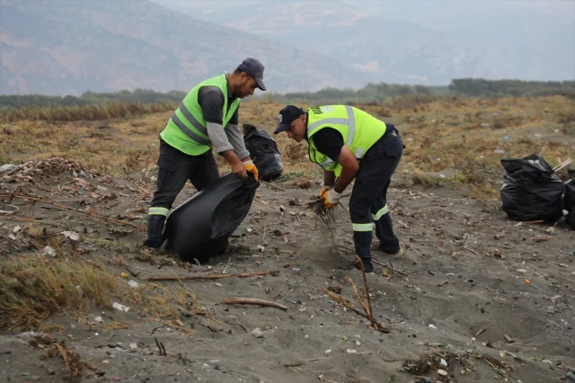 Hatay Sahillerinde Deniz Kaplumbağası Yavruları İçin Temizlik Seferberliği