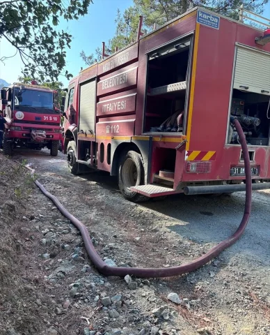 Hatay'da Orman Yangını Korkuttu ancak Ekipler Hızla Kontrol Altına Aldı