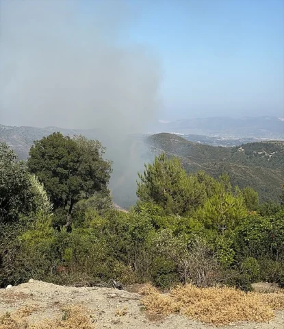 Hatay'da Orman Yangını Korkuttu ancak Ekipler Hızla Kontrol Altına Aldı