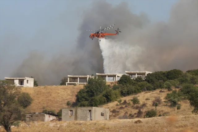 ÇOMÜ'den Çanakkale'deki Orman Yangınına Dair Açıklama