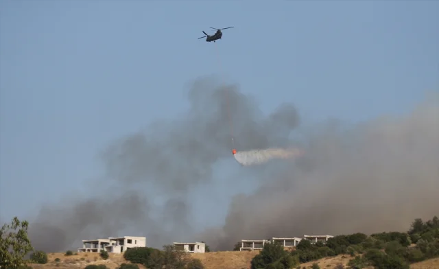 ÇOMÜ'den Çanakkale'deki Orman Yangınına Dair Açıklama