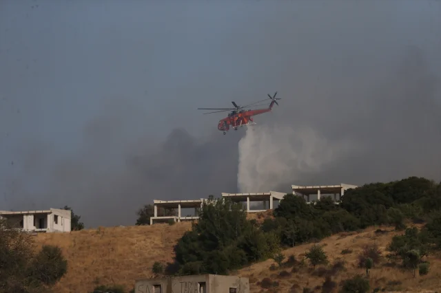ÇOMÜ'den Çanakkale'deki Orman Yangınına Dair Açıklama