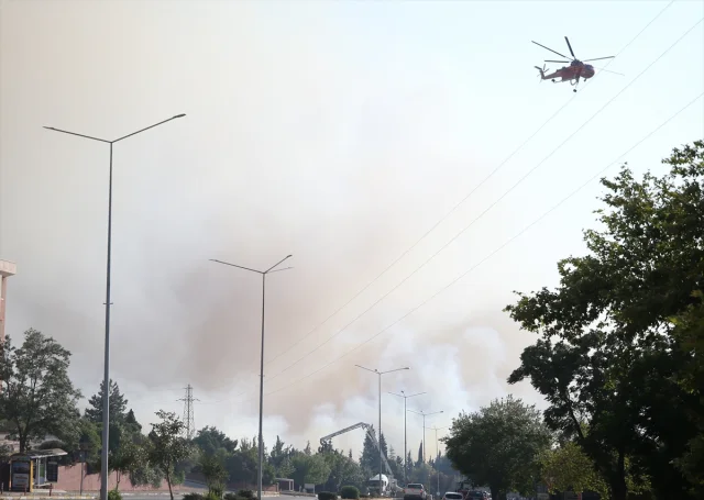 ÇOMÜ'den Çanakkale'deki Orman Yangınına Dair Açıklama